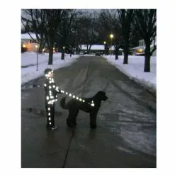 Lightweights 3M Reflexaufkleber Für Bekleidung 20 Stück 9 Lightweights 3M Reflexaufkleber Für Bekleidung 20 Stück -Wasserkocher Verkäufe 59203682 04XcALa9OzpEINU 1280x1280